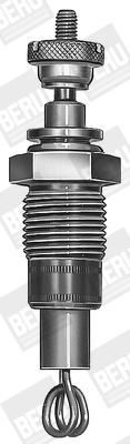 BORGWARNER (BERU) GD348 Glow plug
