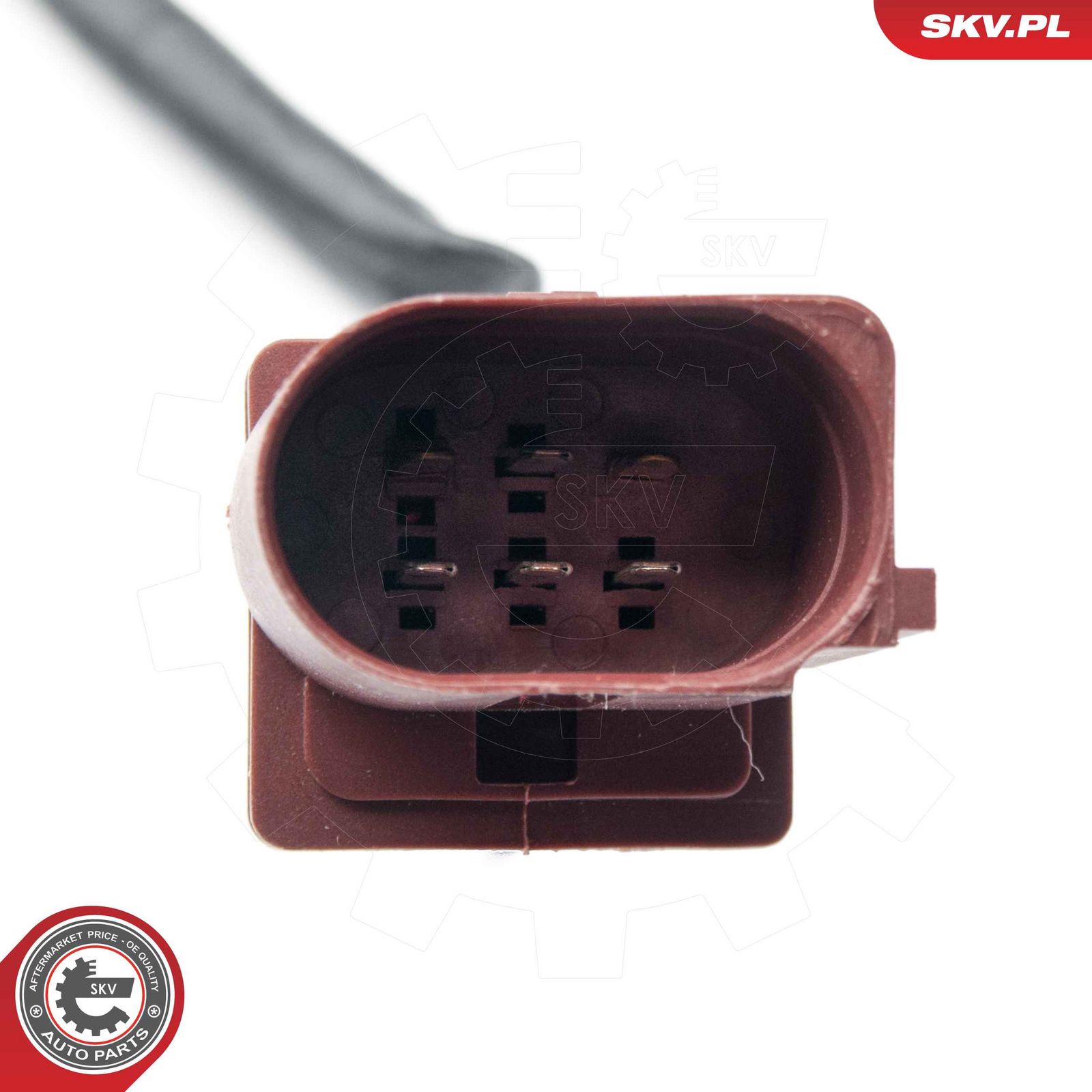 Oxygen Sensor-2