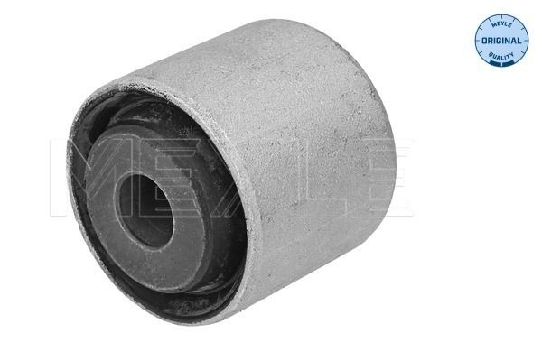 Mounting, axle strut-1