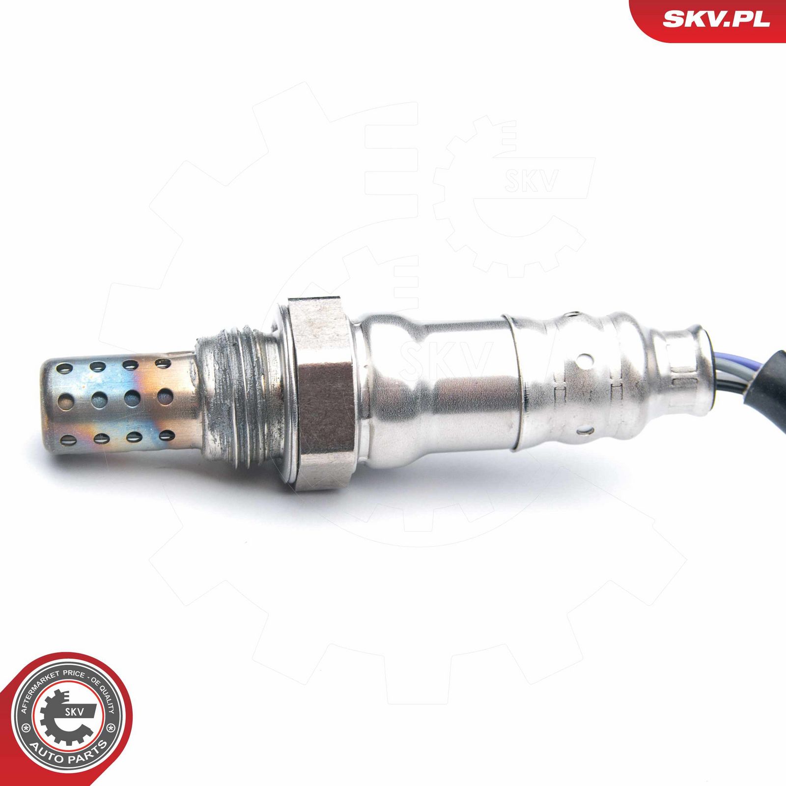 Oxygen Sensor-2