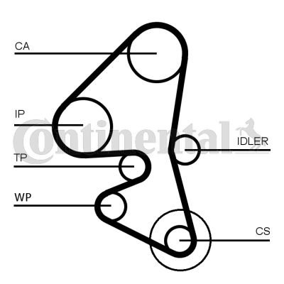Timing Belt-1