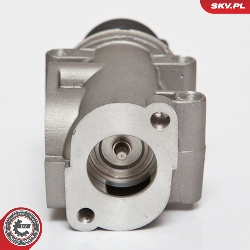 EGR Valve-1