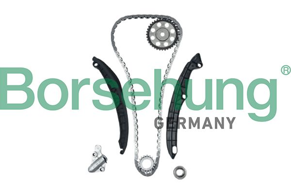 BORSEHUNG B12879 Timing chain kit