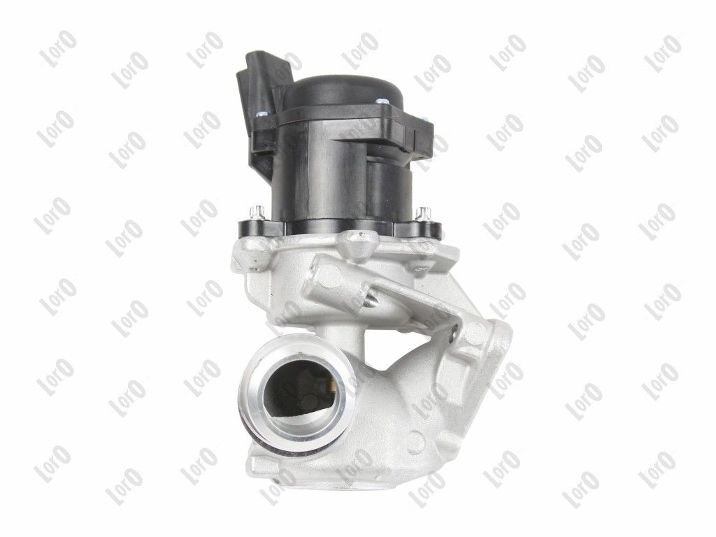 EGR Valve-2