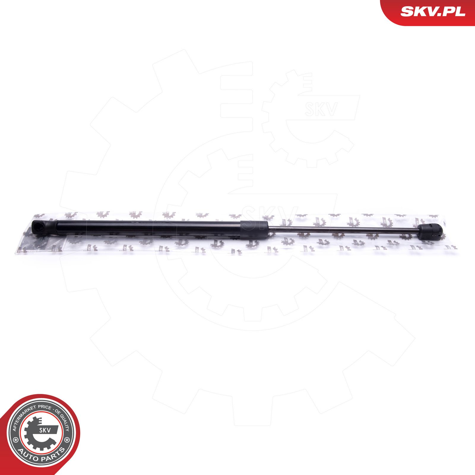 Gas Spring, boot/cargo area