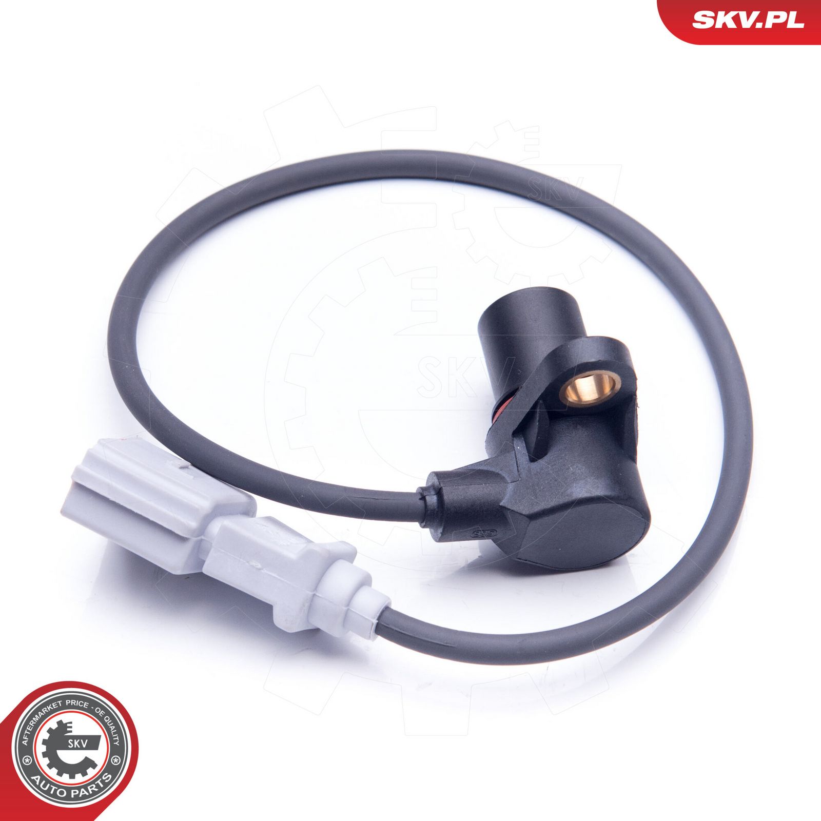 Sensor, crankshaft pulse-main