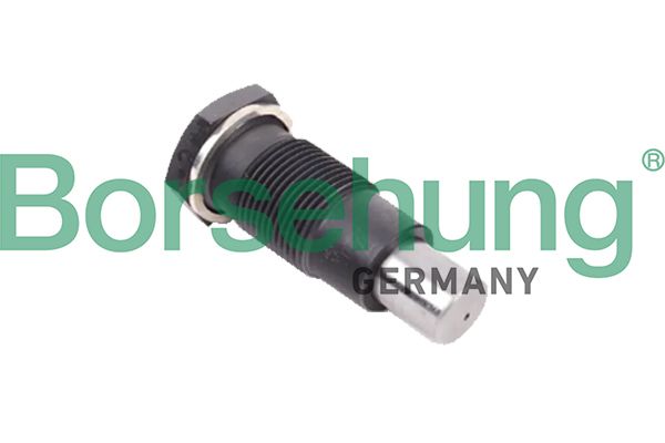 BORSEHUNG B1T005 Tensioner, timing chain