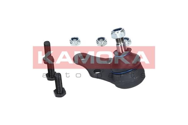 Šarnyras / girgždukas-3