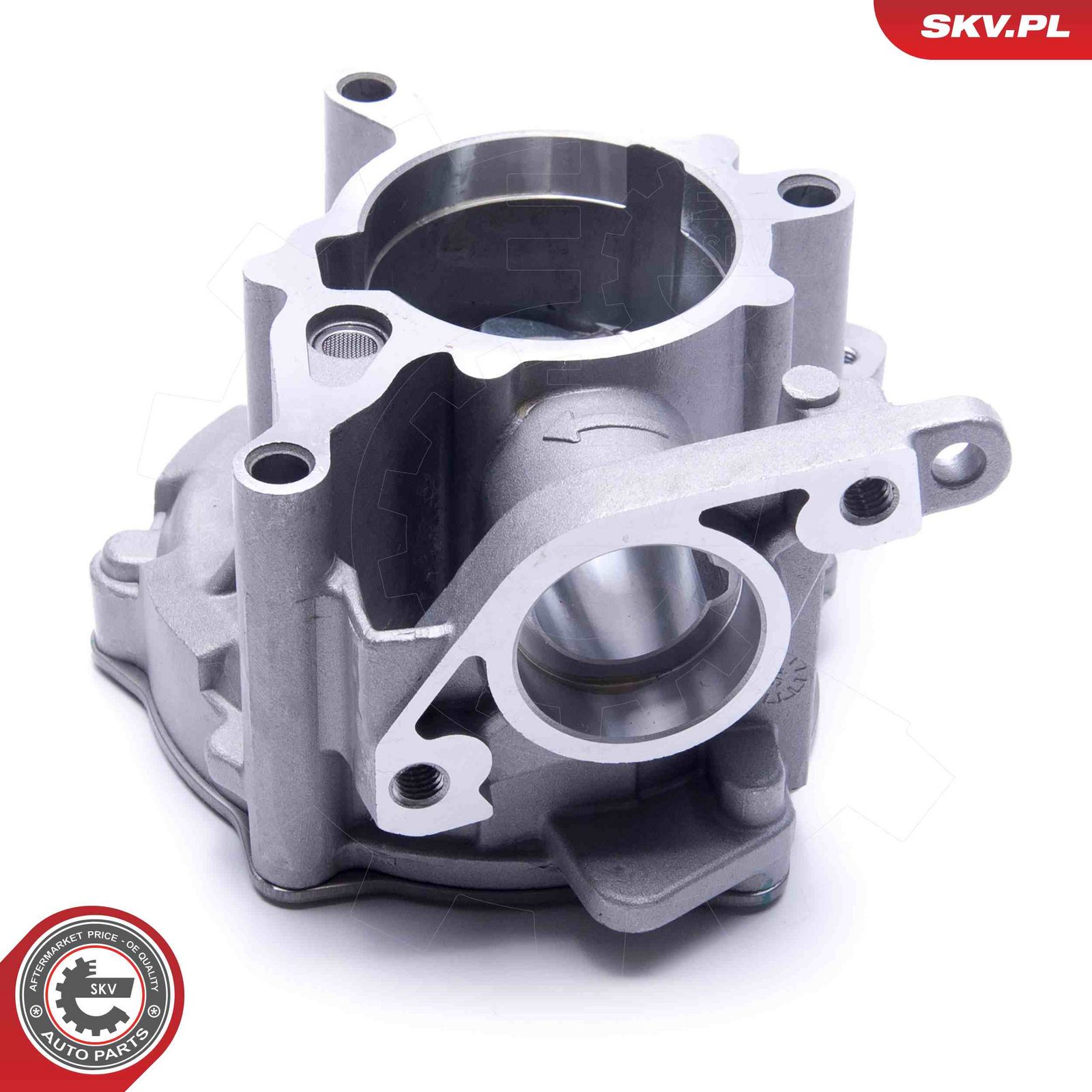 Vacuum Pump, braking system-1