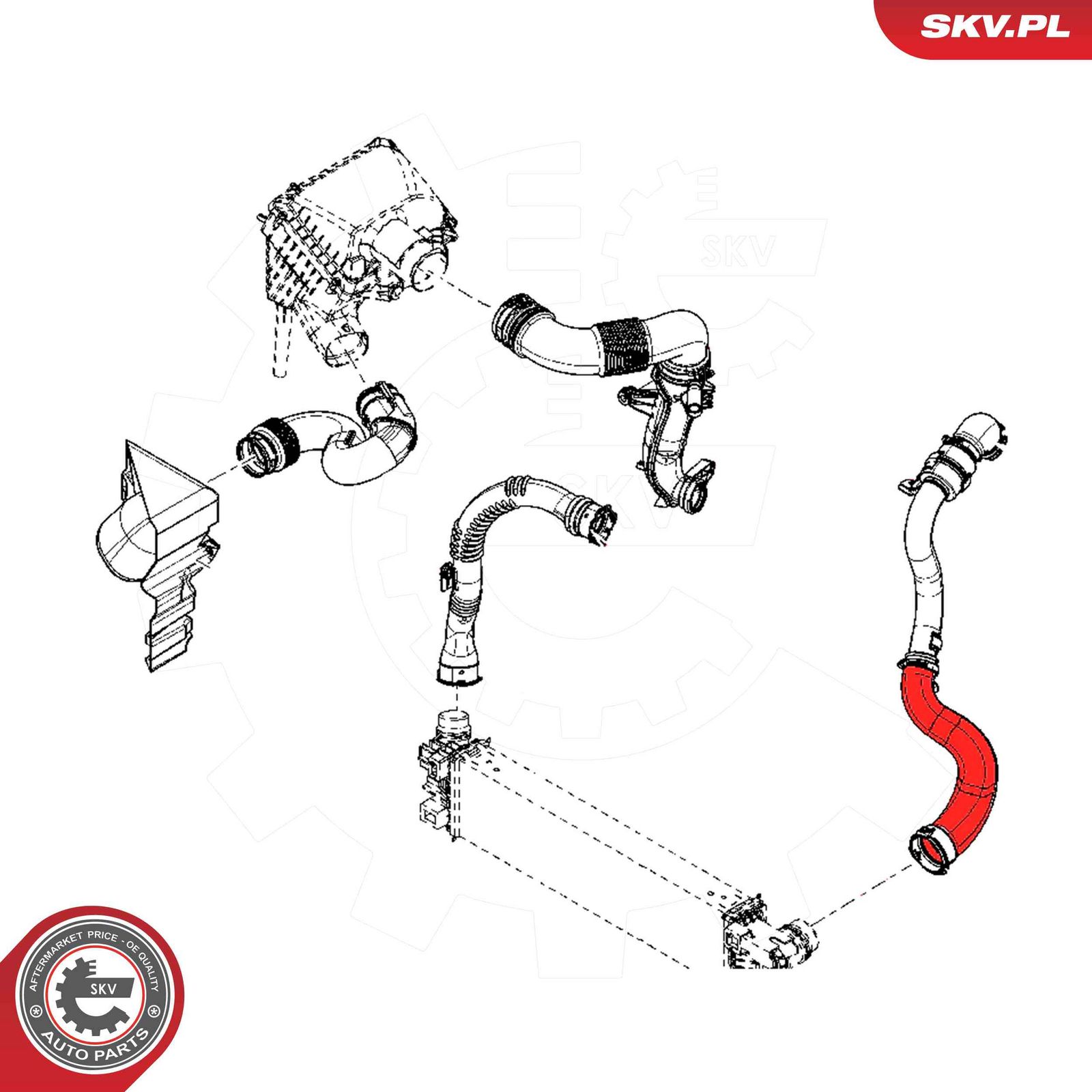 Charge Air Hose-2