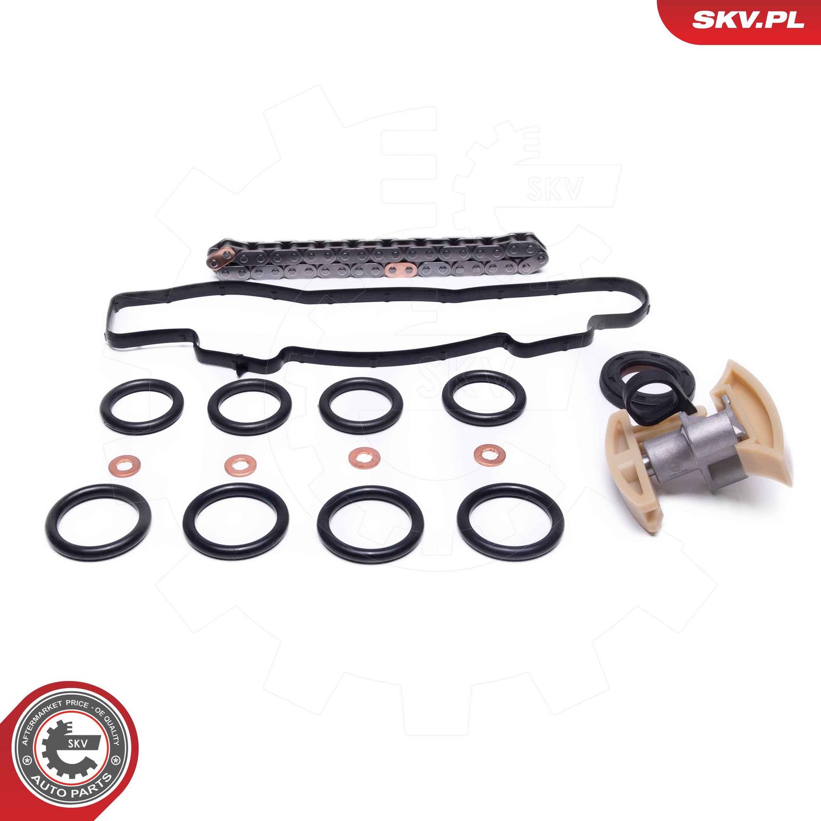 ESEN SKV 21SKV258 Timing chain kit