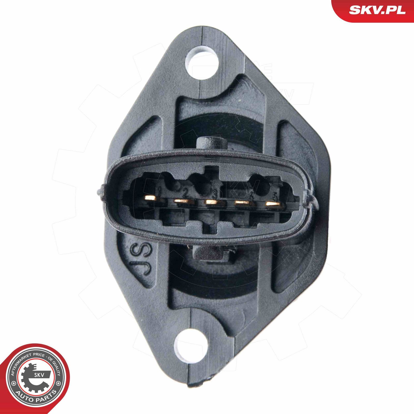 Mass Air Flow Sensor-2