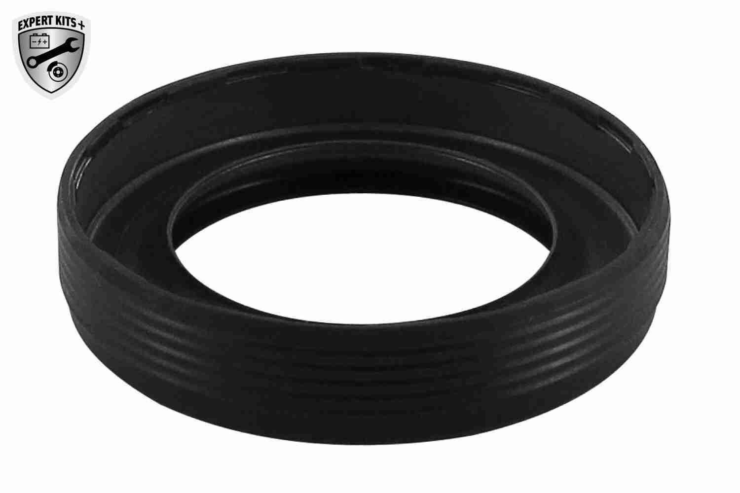Timing Chain Kit-9