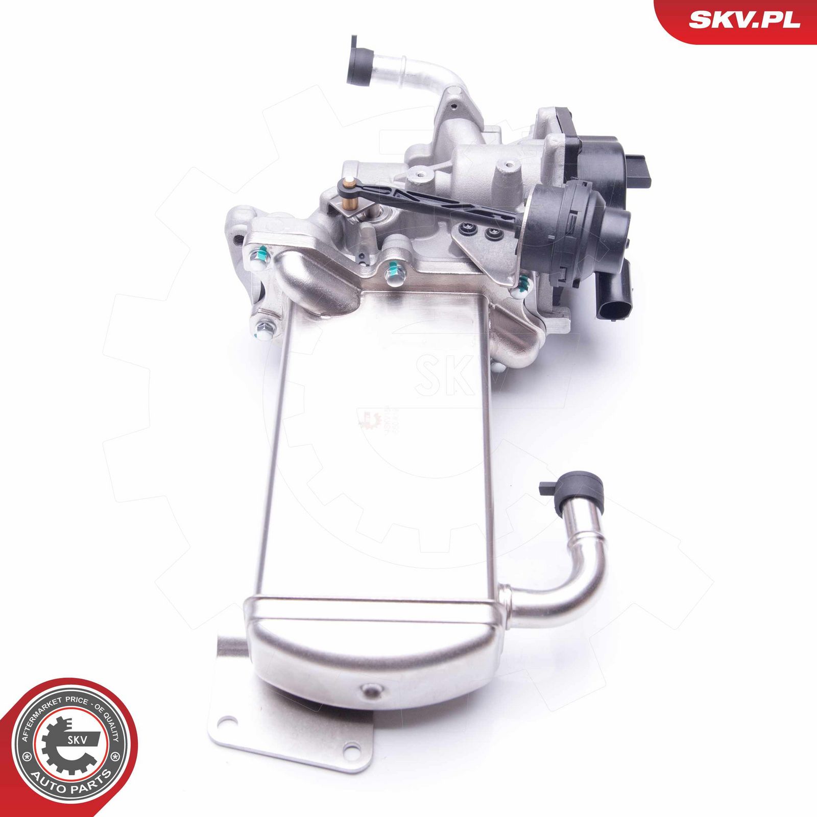 EGR Valve-2