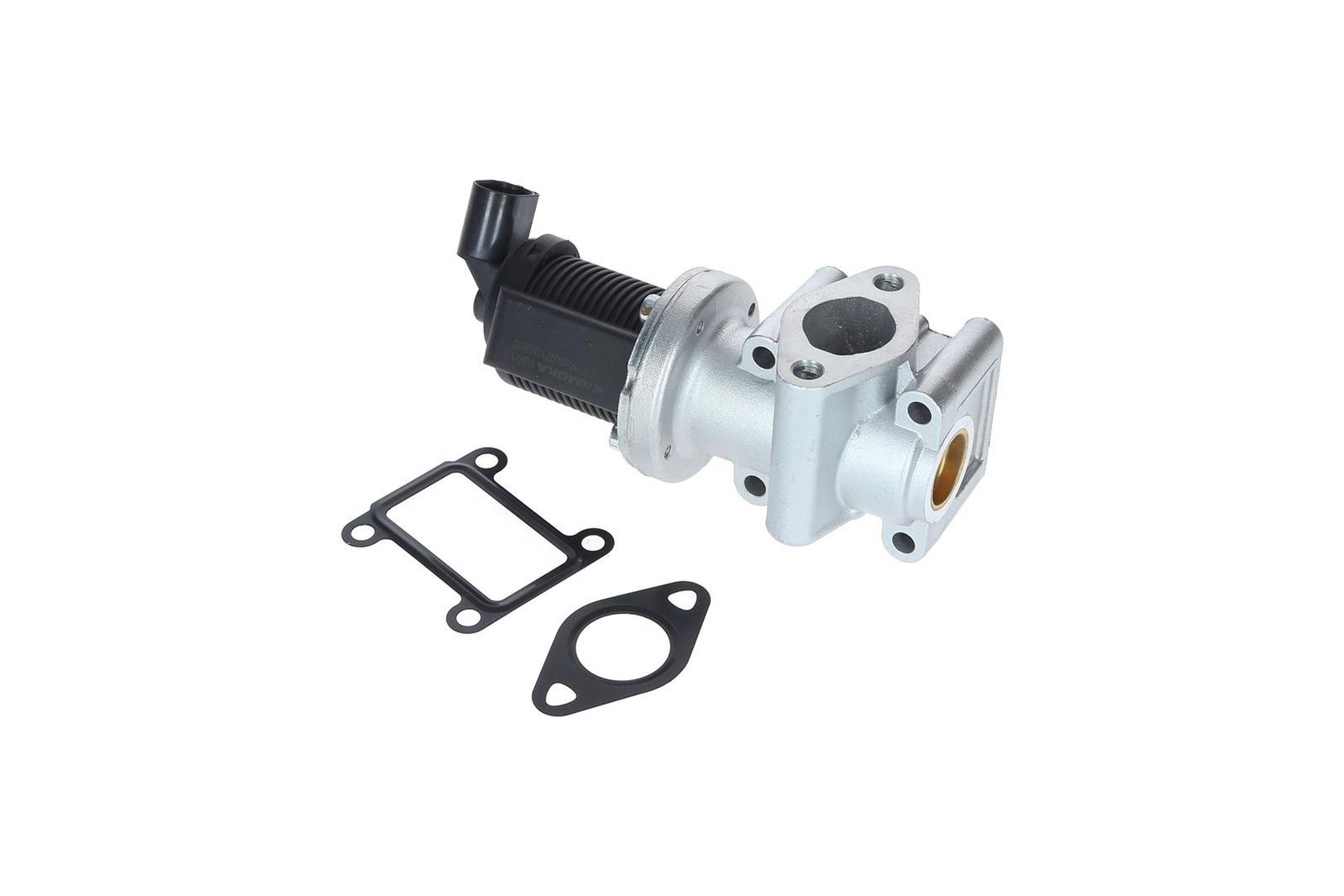 EGR Valve-1
