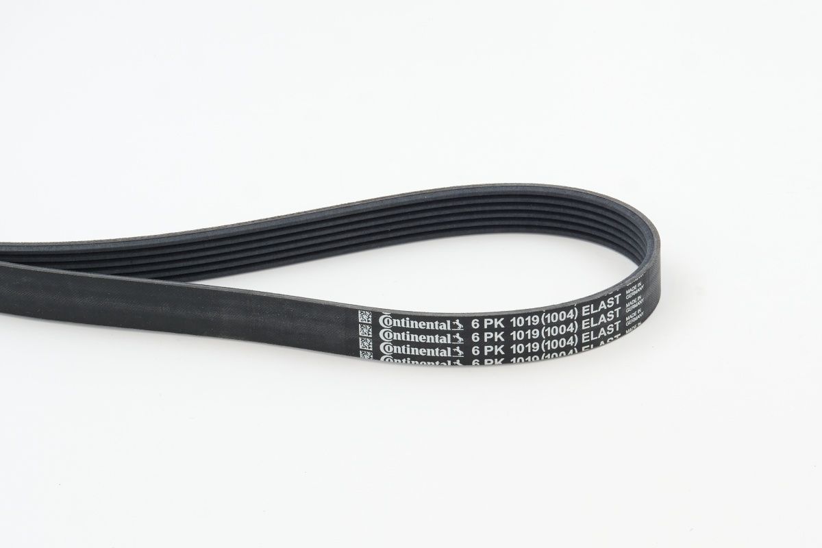 CONTINENTAL CTAM 6PK1019 ELAST V-ribbed belt
