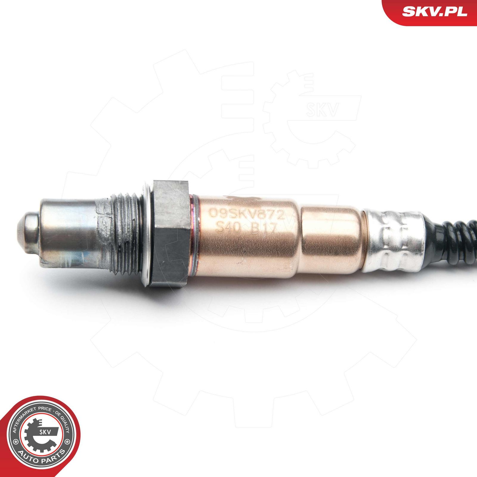 Oxygen Sensor-2