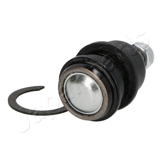 Šarnyras / girgždukas-2