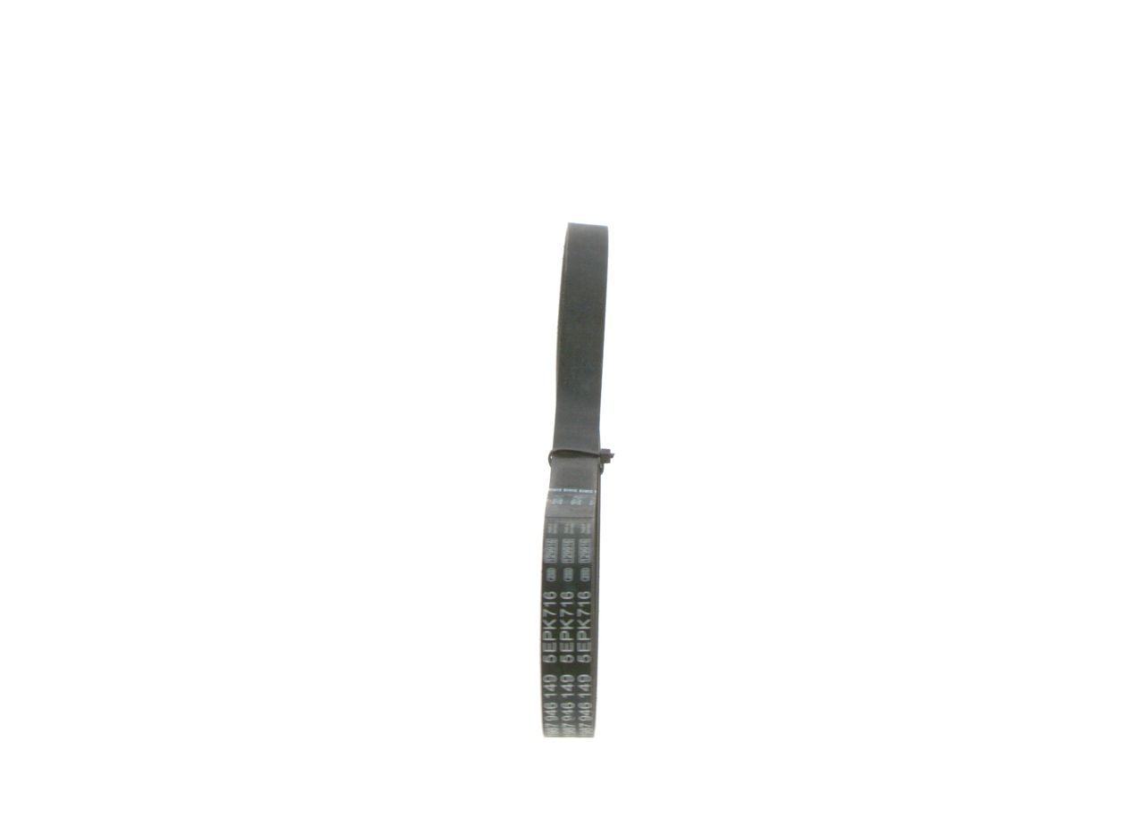 V-ribbed Belt-1