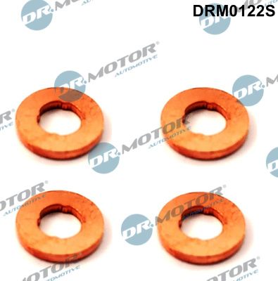 DR.MOTOR AUTOMOTIVE DRM0122S Heat shield, injection system