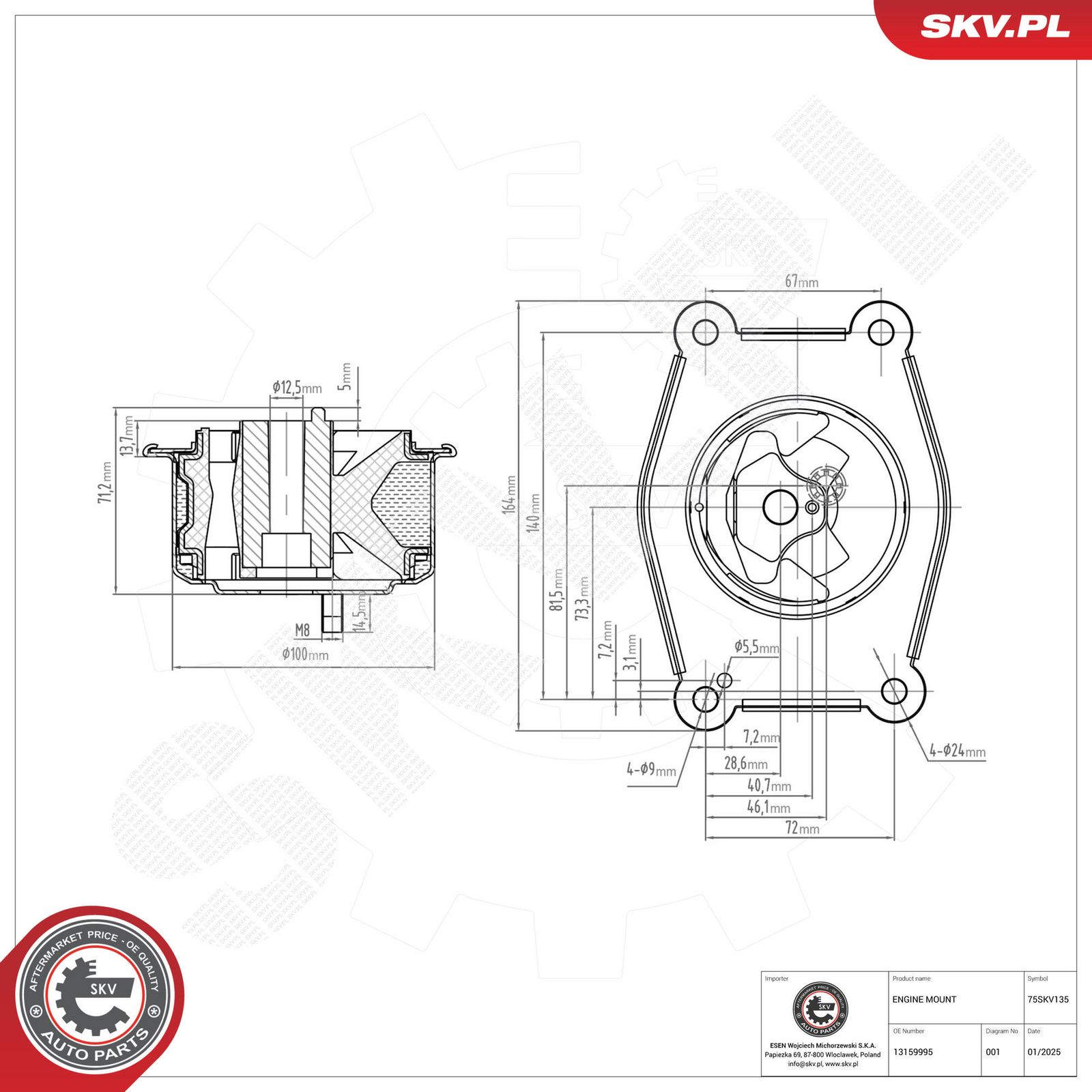 Mounting, engine-3