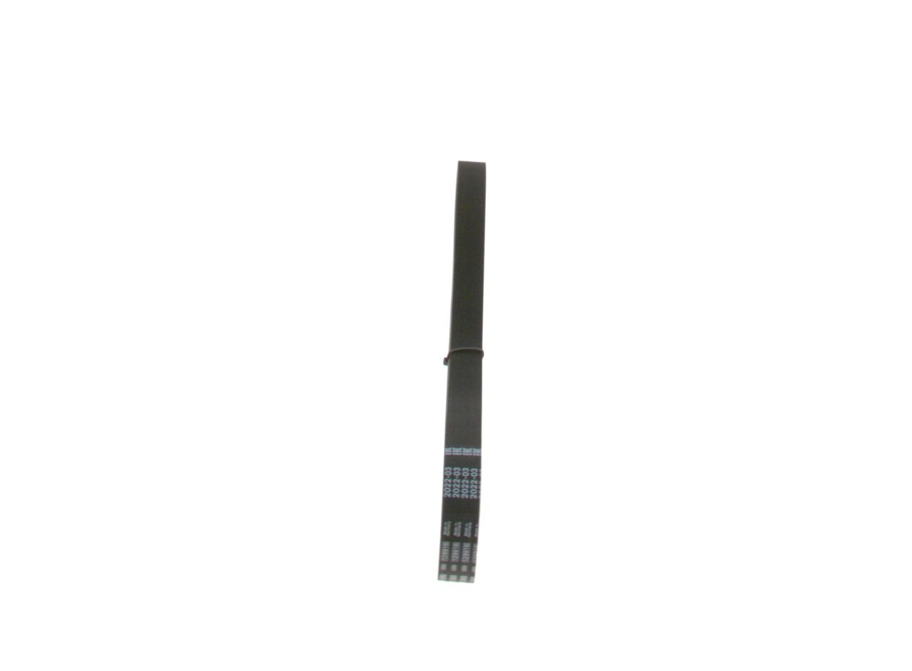V-ribbed Belt-1