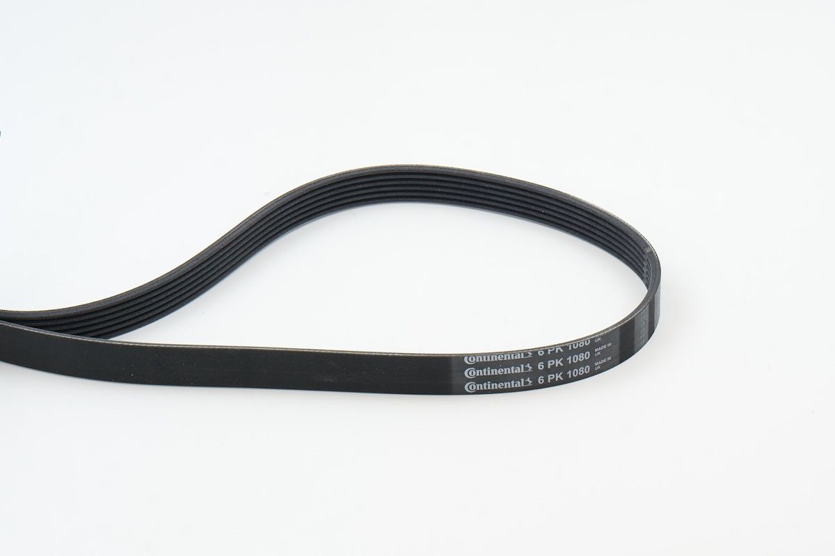 CONTINENTAL CTAM 6PK1080 V-ribbed belt