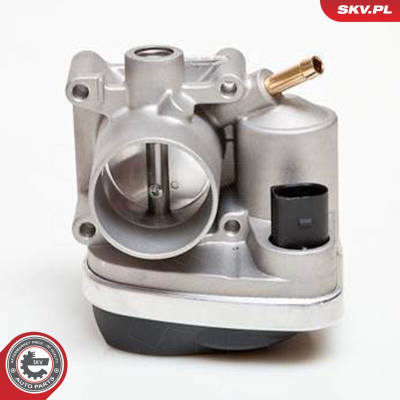Throttle Body-1