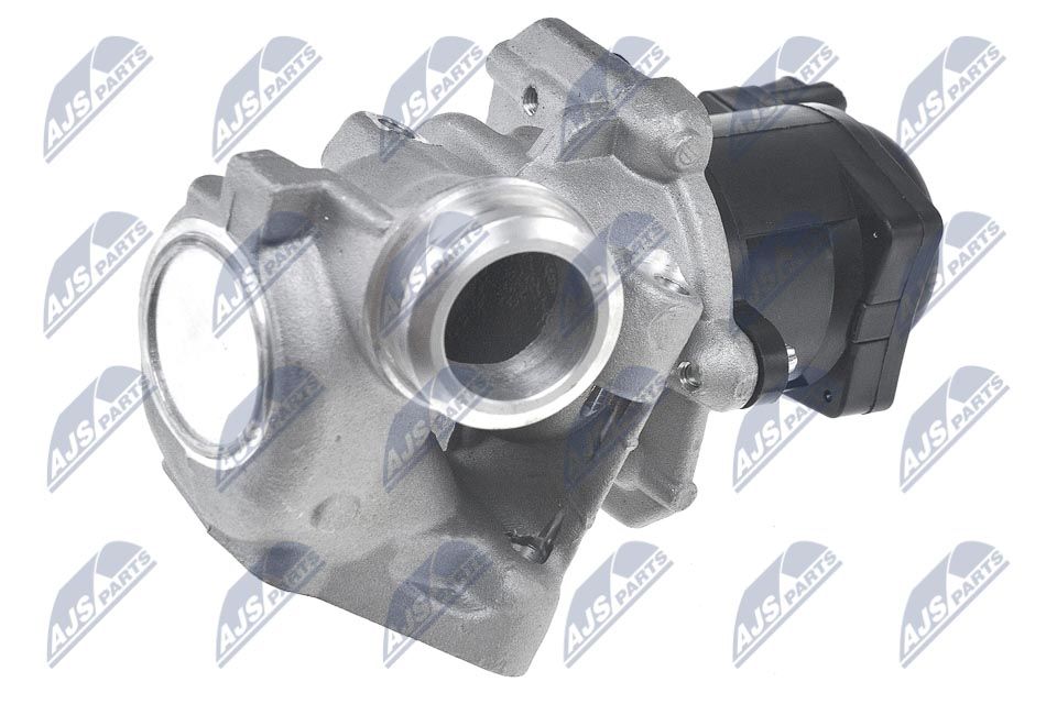 EGR Valve-1