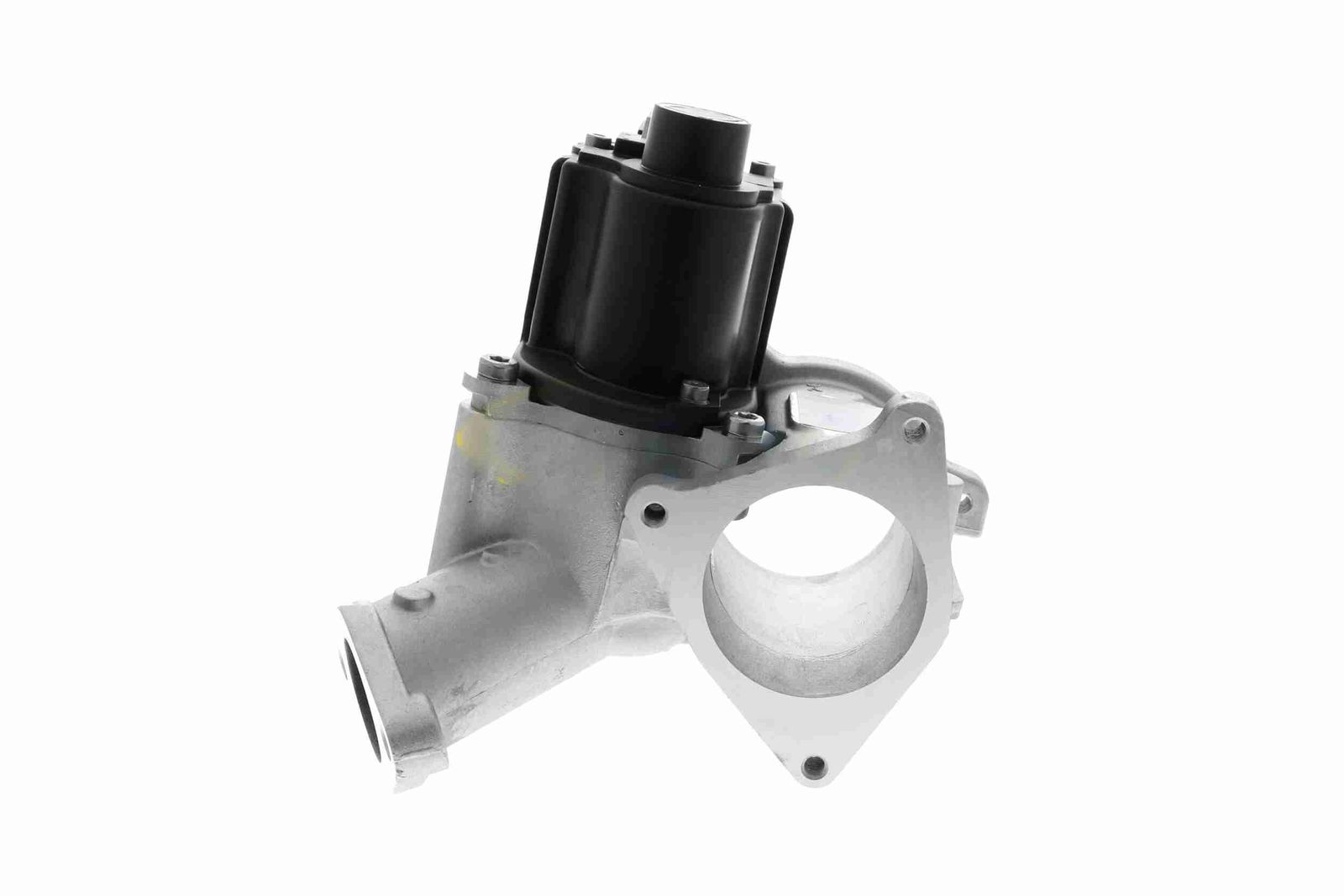 EGR Module-9