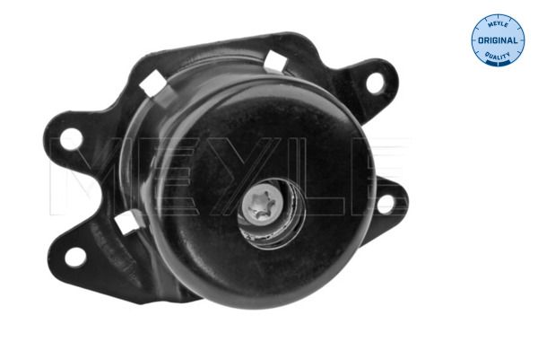 Mounting, engine-1