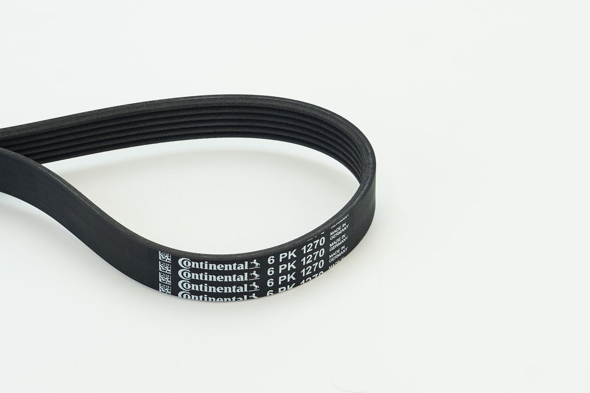 CONTINENTAL CTAM 6PK1270 V-ribbed belt