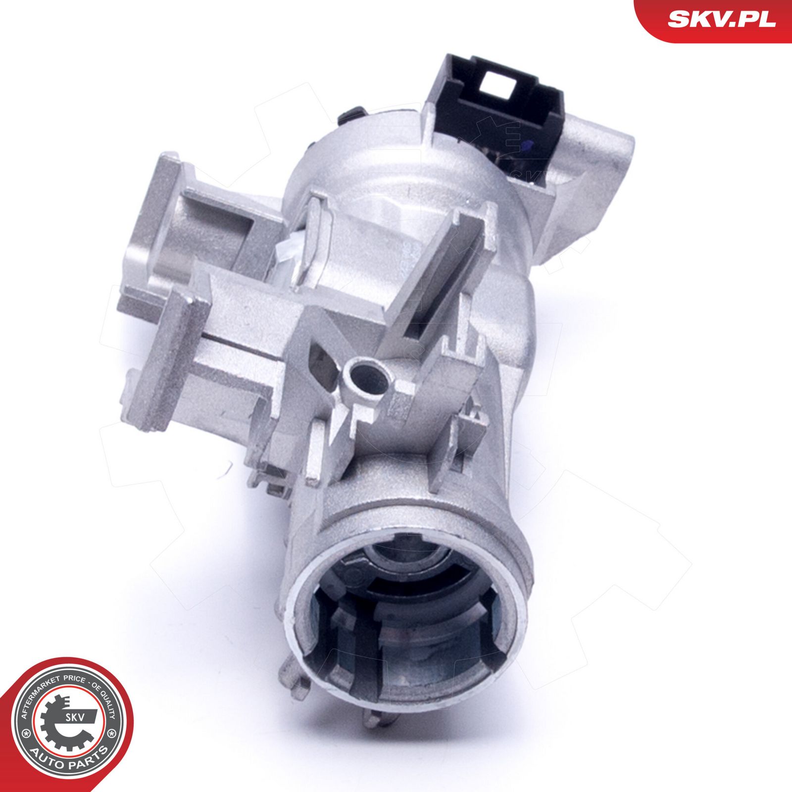 Steering Lock