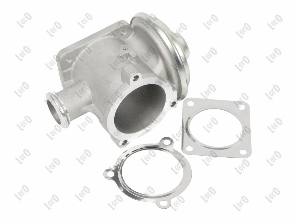 EGR Valve-1