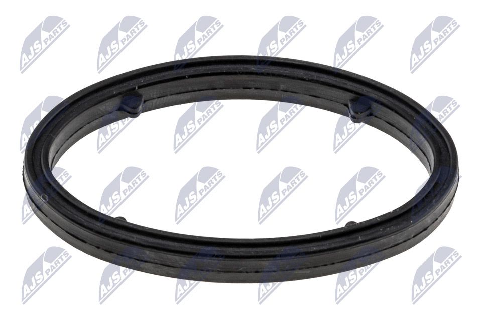 NTY CCL-DW-004 Gasket, oil cooler