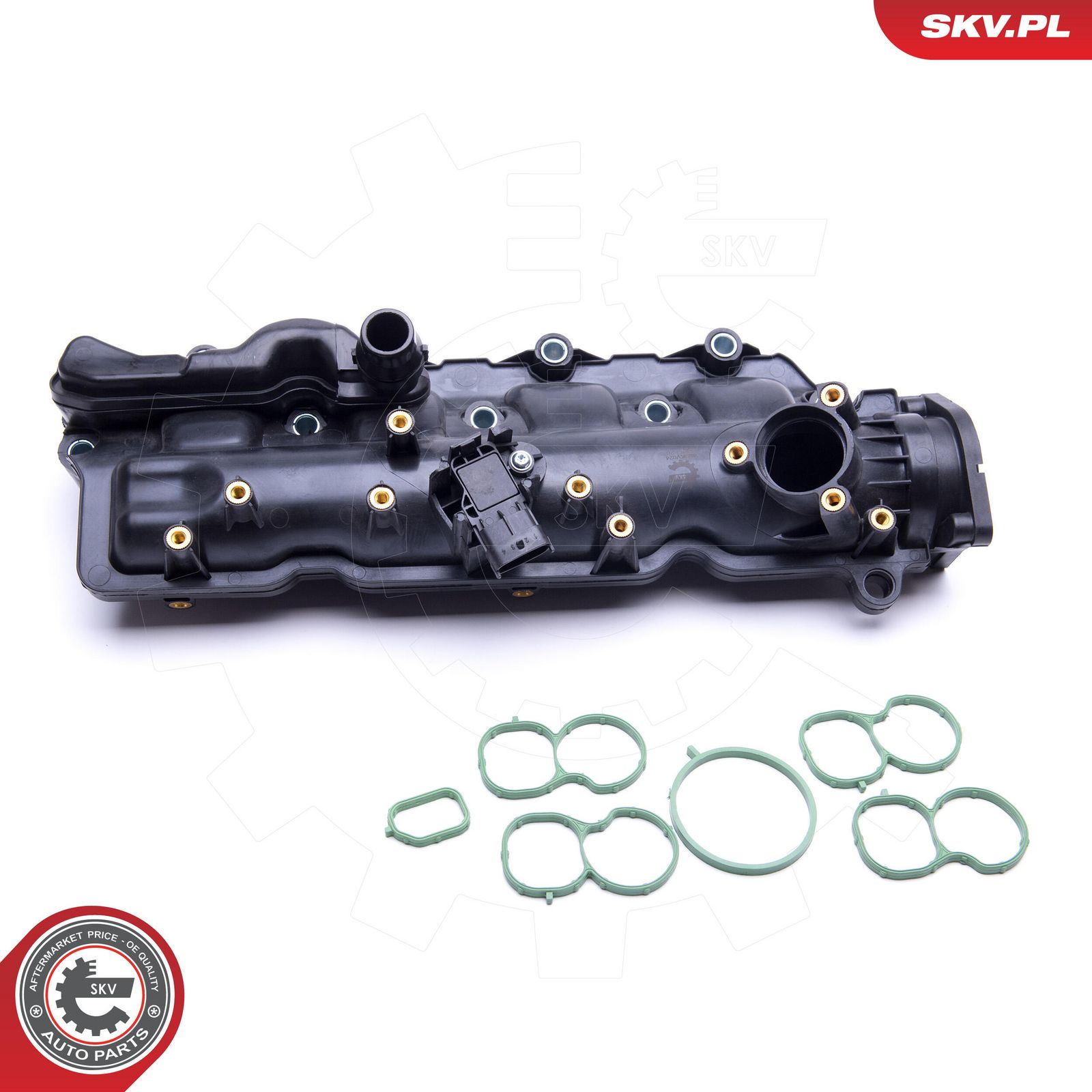 ESEN SKV 49SKV024 Intake manifold module