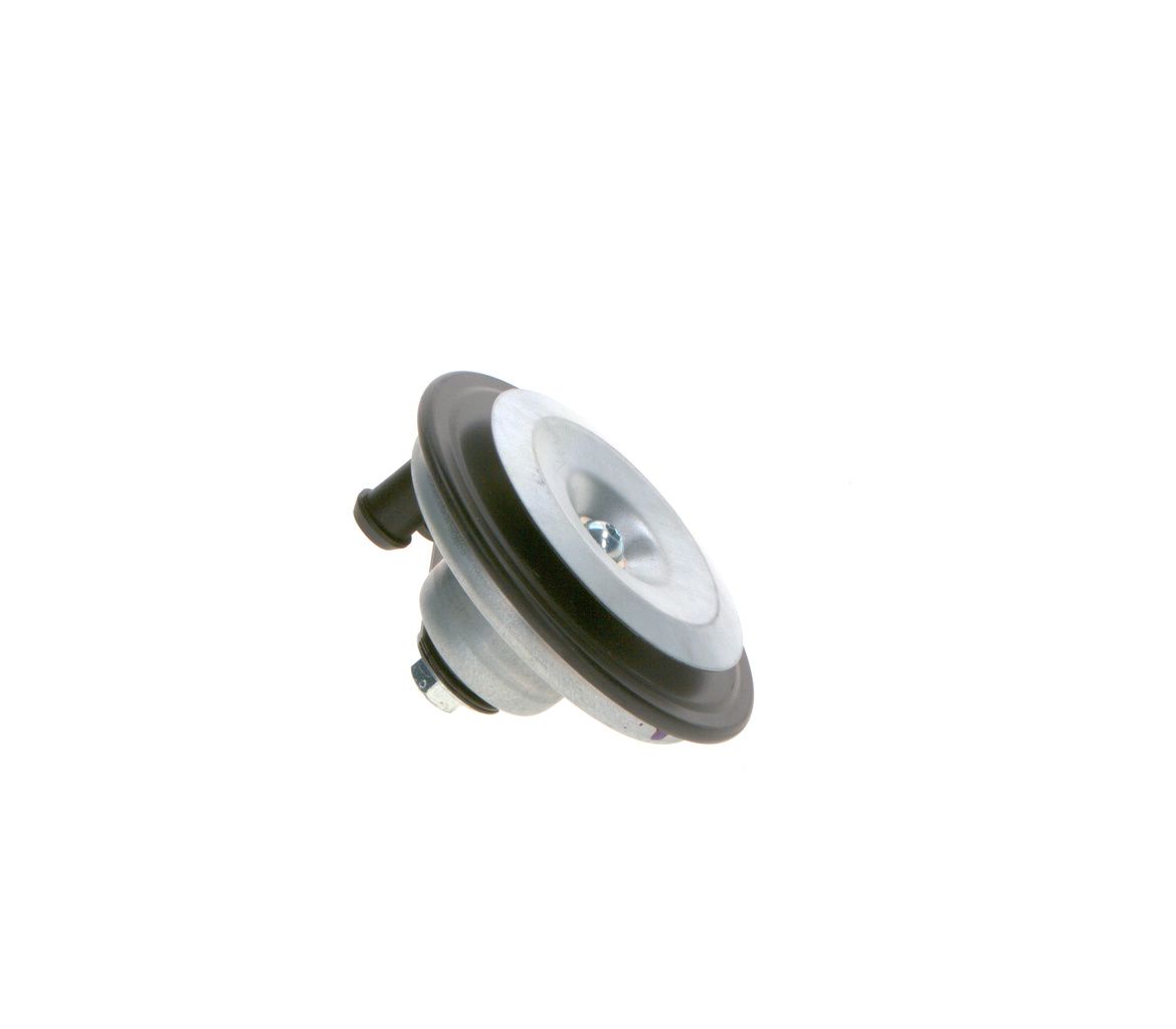 Signal Horn-3