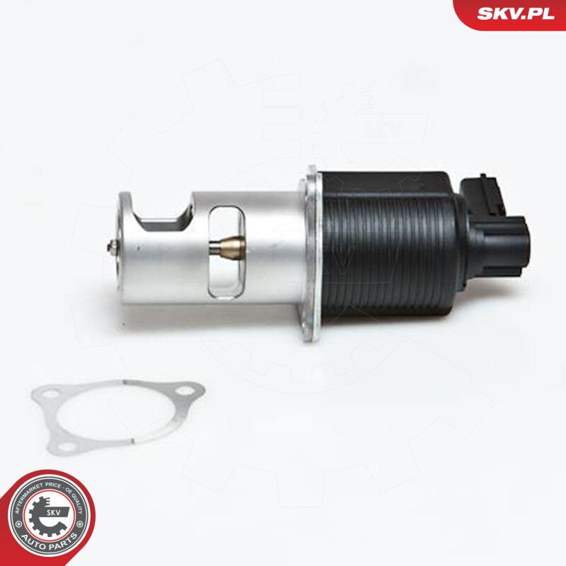EGR Valve-1