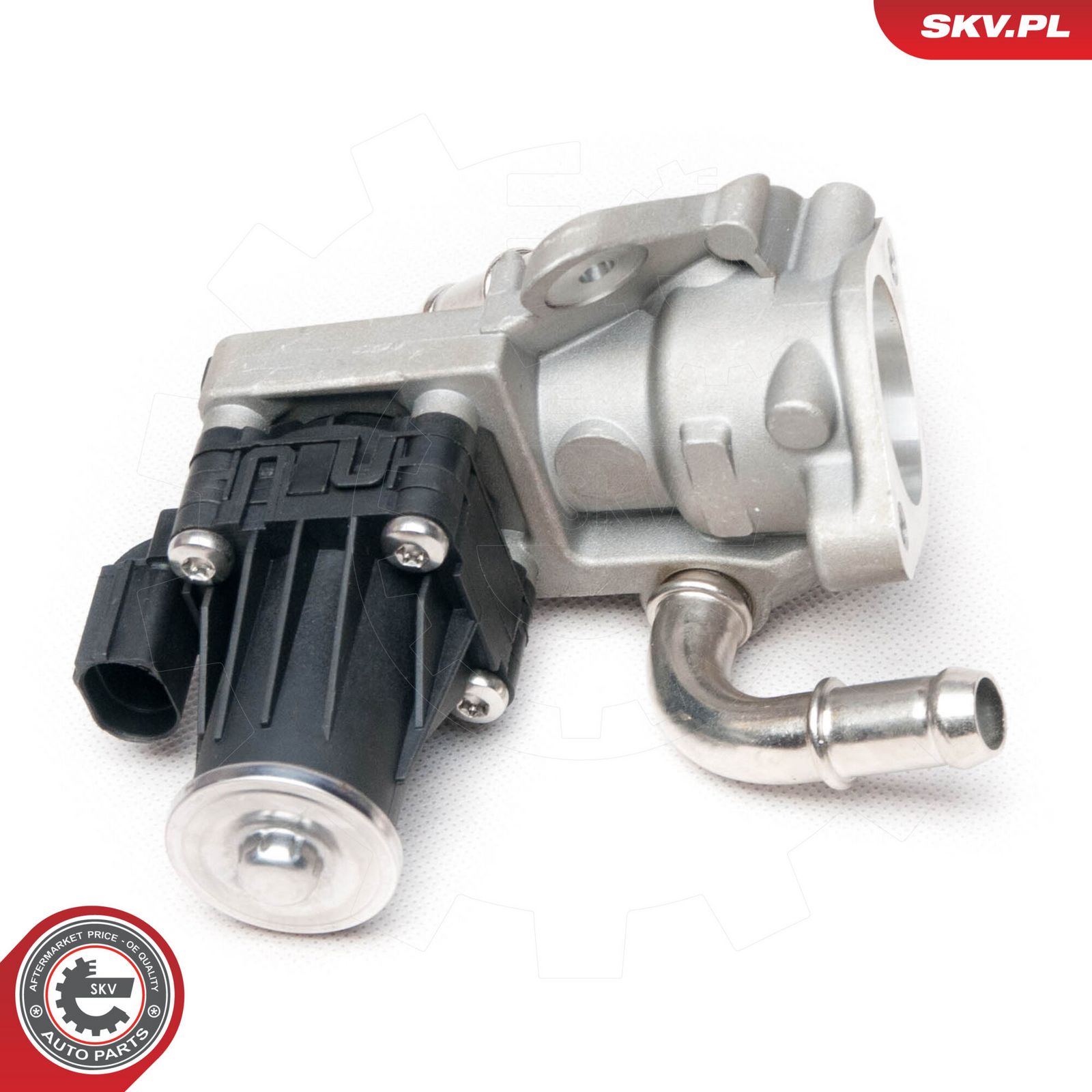 EGR Valve-2