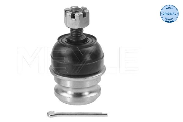 Šarnyras / girgždukas