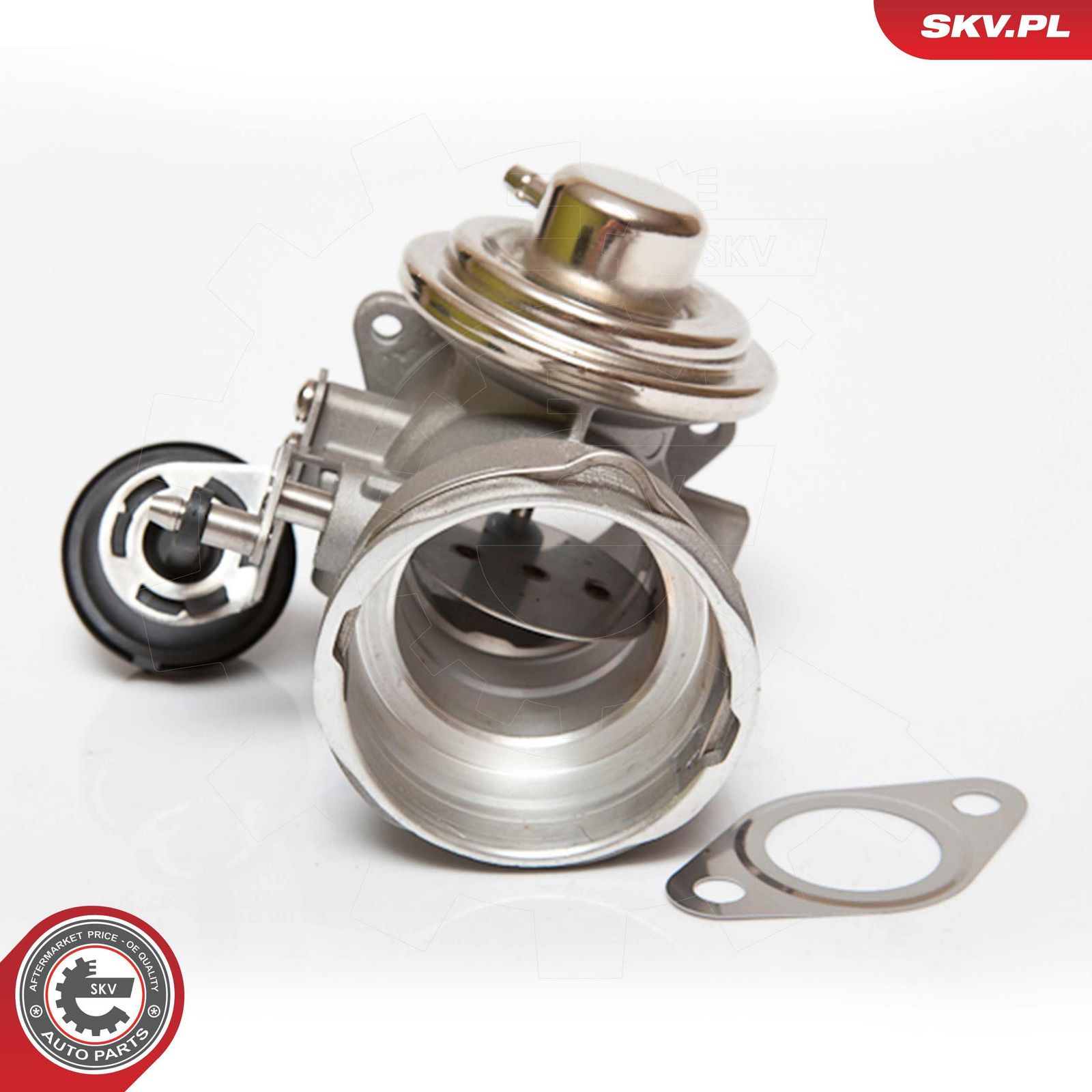EGR Valve-1