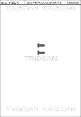 TRISCAN 8105 116008 Screw set, brake disc