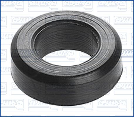 Seal, injector holder