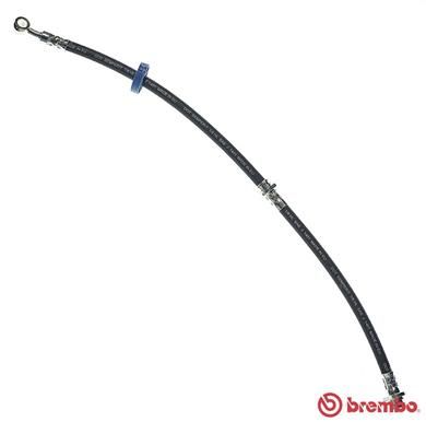 Brake Hose