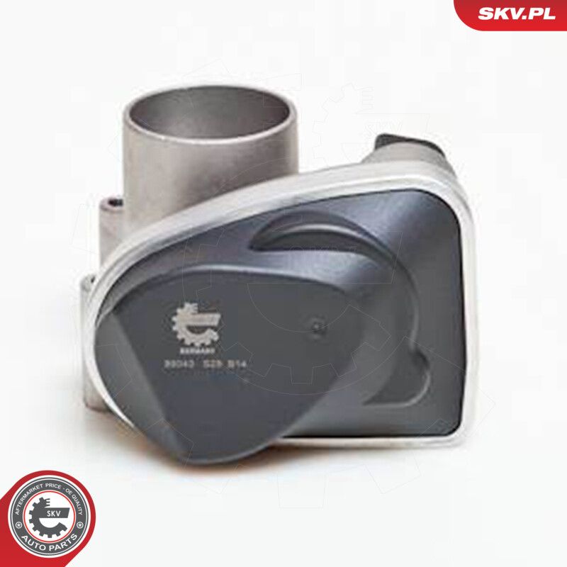 Throttle Body-5