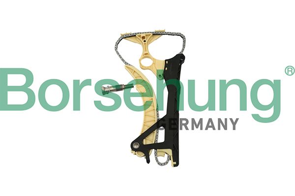 BORSEHUNG B18854 Timing chain kit