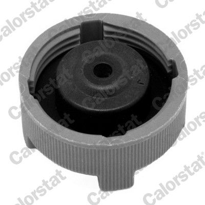 Expansion Tank, coolant-2