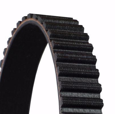 Timing Belt-2