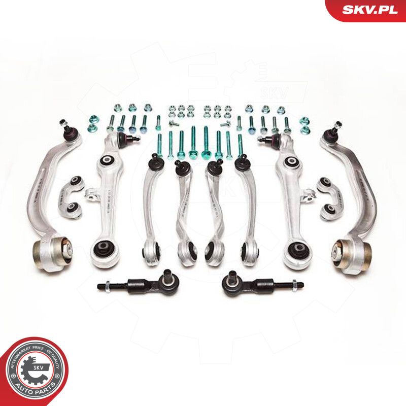 ESEN SKV 04SKV100 Repair kit, control arm