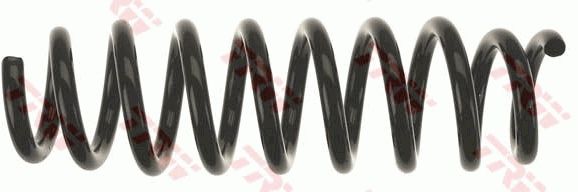 TRW JCS1117 Suspension spring